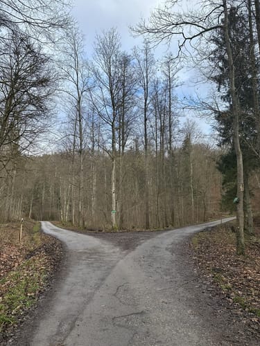 Rundwanderung im Hardtwald