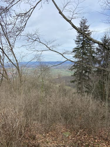 Amoltern Zur KatharinenKappelle