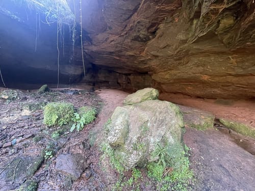 Rieslocher Klamm ab Thaleischweiler-Froschen