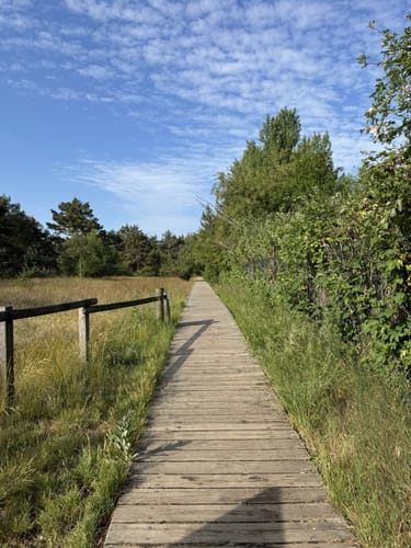 Höchst - Unterwald - Flughafen