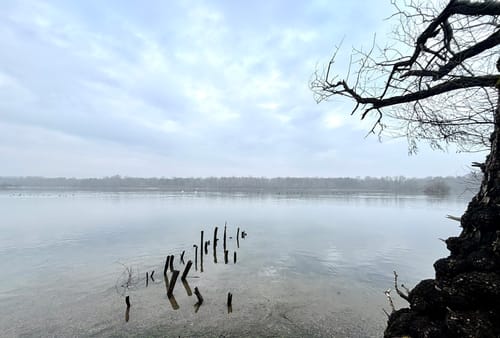 Um den Fermasee