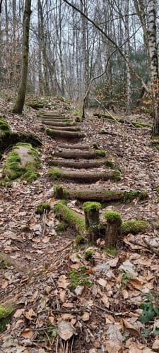 Hüttenwanderweg (Premiumwanderweg)
