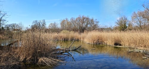 Entlang der Amper ab Dachau