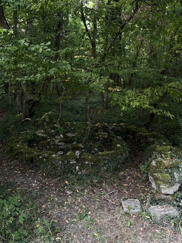 Blies-Grenz-Weg (Premiumwanderweg)