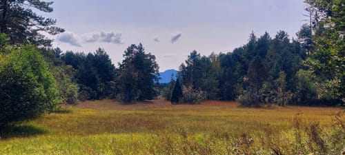 Fohnsee und Großer Ostersee Rundweg