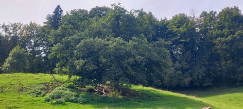 Fohnsee und Großer Ostersee Rundweg