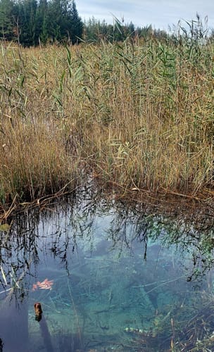 Fohnsee und Großer Ostersee Rundweg