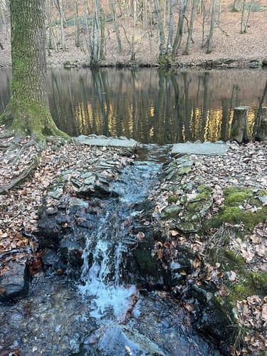 Von Falkenstein um den Franzkopf