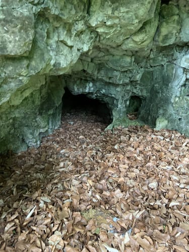 MTB: Über das Trockental nach Heiligenstadt