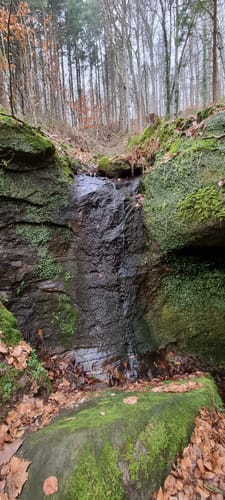 Ensheimer Brunnenweg (Premiumwanderweg)