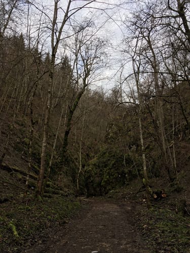 Von Reichenstein entlang dem Wolfstal und dem Lautertal