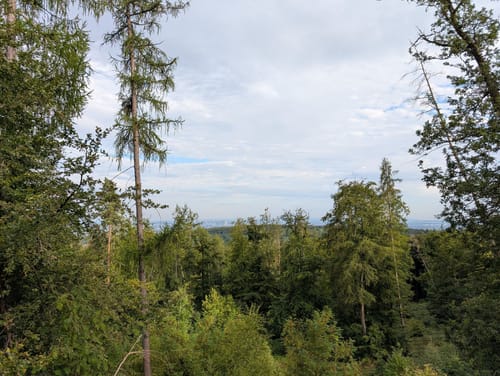 Keltenrundwanderweg