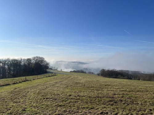 Premiumwanderpfad: Bergschluchtenpfad Ehrenburg