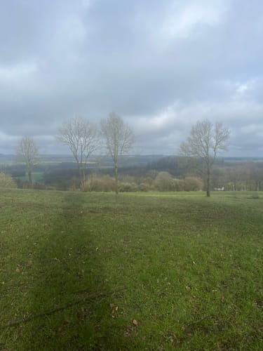 Tecklenburger Bergpfad (Premiumwanderweg)