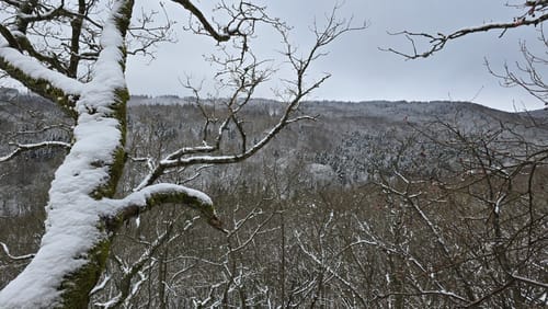 Naturlehrpfad Gangolfsberg