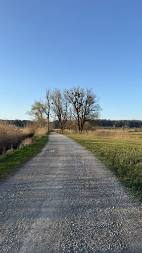 Moos-Rundweg bei Murnau
