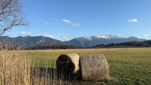 Moos-Rundweg bei Murnau