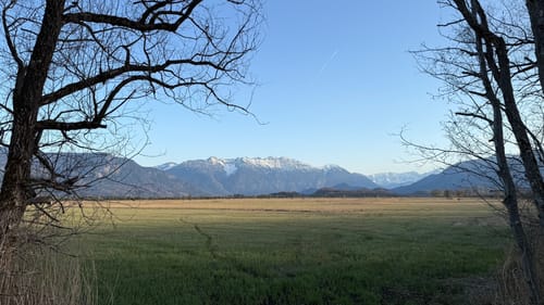 Moos-Rundweg bei Murnau