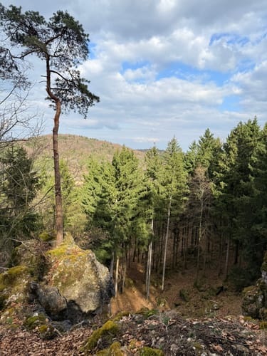 Rund um Velburg