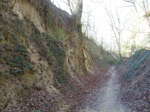 Kraichtal Wanderweg K1