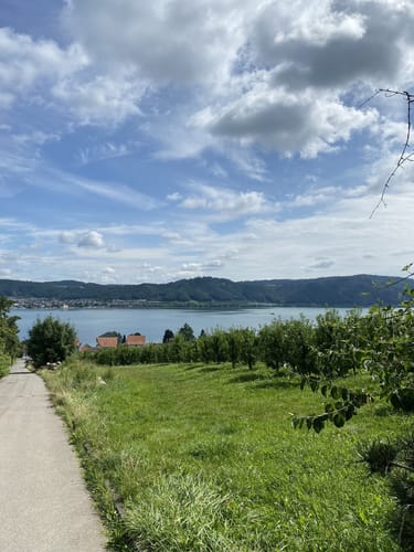 Von Bodman über den Frauenberg