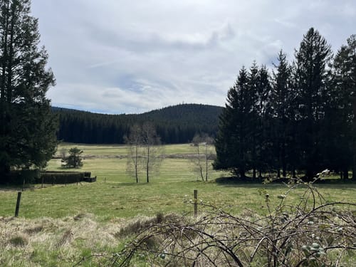 Sand - Herrenwies - Mehliskopf