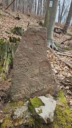 Neckarsteig Etappe 4: Hirschhorn - Eberbach