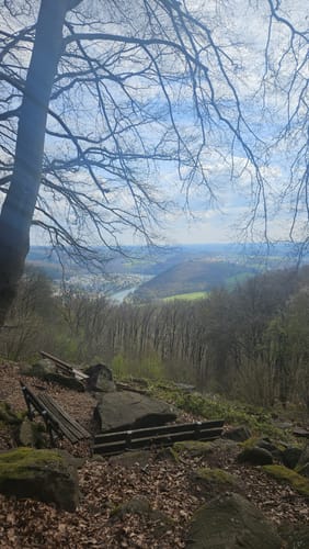 Neckarsteig Etappe 4: Hirschhorn - Eberbach