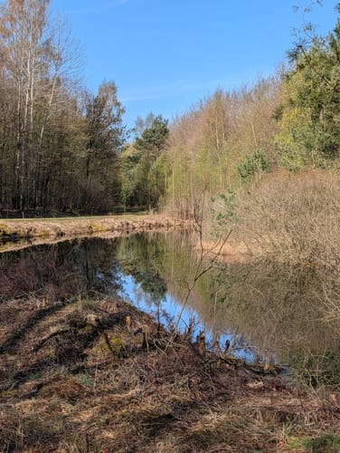 Von Moor zu Moor