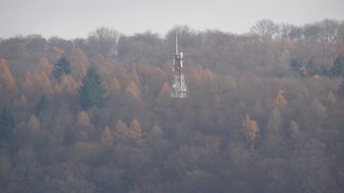 Neckarsteig Etappe 7: Neckargerach - Mosbach