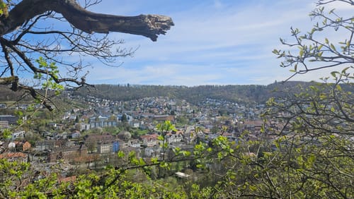 Neckarsteig Etappe 7: Neckargerach - Mosbach