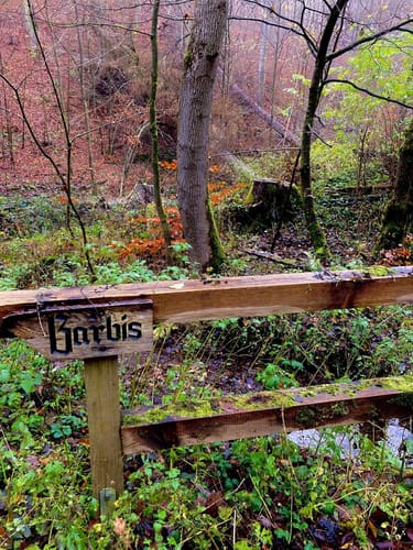 Zur Einhornhöhle und Burgruine Scharzfeld