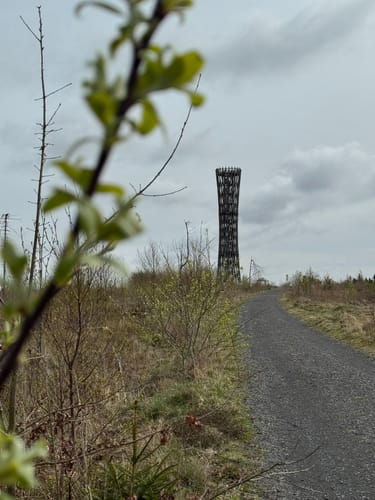 Rundwanderweg A8: Lörmecketurm