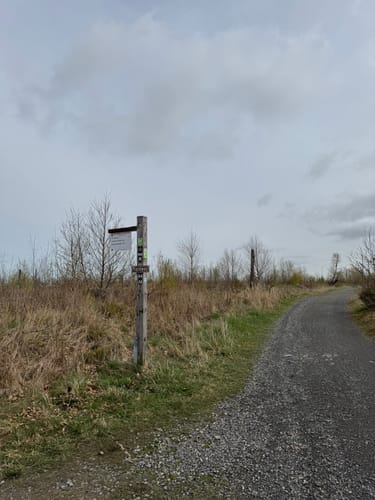 Rundwanderweg A8: Lörmecketurm