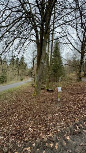 Rundwanderweg A8: Lörmecketurm