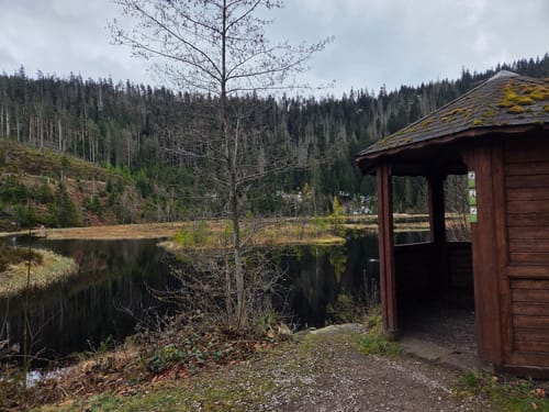 Rund um den Huzenbachsee