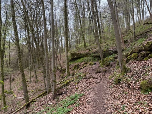 Rodalben - Bärenhöhle