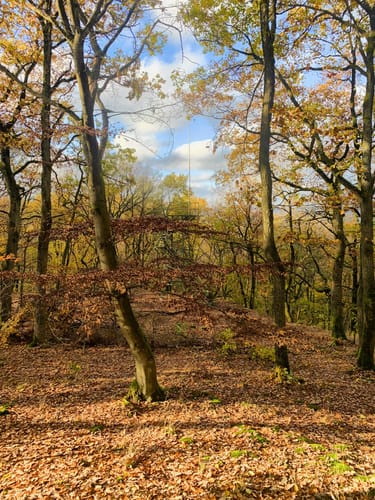 Bad Endbacher Wandermarathon