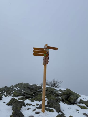 Waldhäuserriegel - Lusen