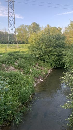 Donauauen bei Ingolstadt