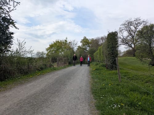 Rundwanderweg 9 (Bad Neuenahr)
