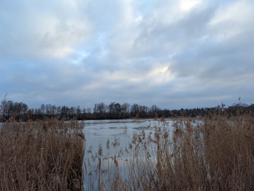 Rund um die Schwarzachtalseen