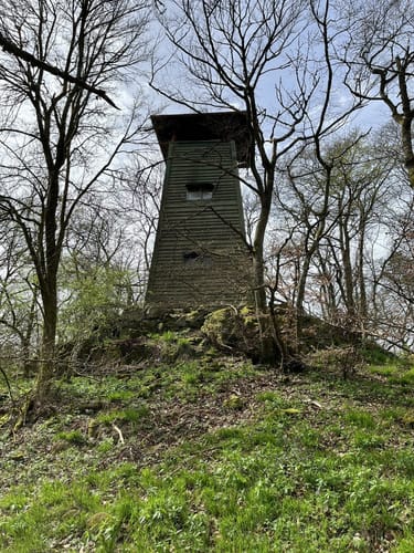 Gladenbacher Berglandring (Extratour)