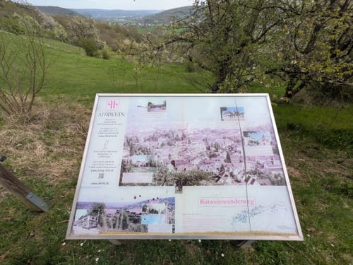 Rundwanderweg 9 (Bad Neuenahr)