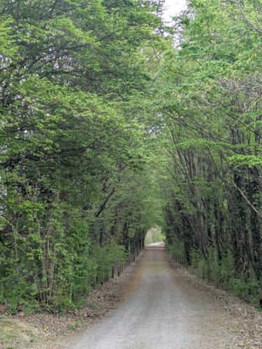 Rundwanderweg 9 (Bad Neuenahr)