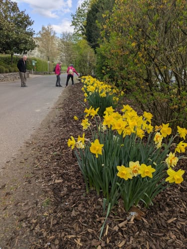 Rundwanderweg 9 (Bad Neuenahr)