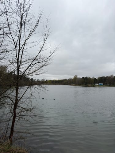 Um den Auwaldsee