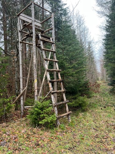 König-Ludwig-Weg Etappe 2: Dießen - Paterzell