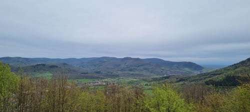Annweilerer Burgenweg (Premiumwanderweg)