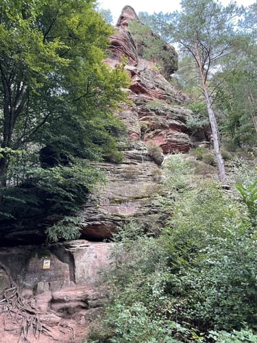 Dahner Felsenpfad (Premiumwanderweg)